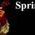 Vivaldi Four Seasons Spring 1st Movement Best Version Part Recording And Performance