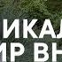 Уникальный мир Скандинавского сада Рассказывает Пётр Лари на примере сада Северный