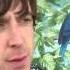 Glastonbury 2013 Miles Kane I M Going To Play With Arctic Monkeys Tonight