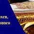 Basilica Live Day 28 Of 18th Exposition Of The Relics Of St Francis Xavier 18 December 2024