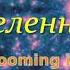 Липунов В Нас в этой Вселенной не должно быть От Большого Взрыва до Великого Молчания VidReMast