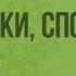 Корненожки радиолярии солнечники споровики Видеоурок по биологии 7 класс