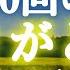 ありがとう を10000回リピートしてます 波動を上げるBGMと共に繰り返し聴く用