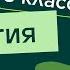 Слуховой анализатор Видеоурок 9 Биология 8 класс