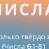 Урок 6 Насколько твёрдо ваше слово Четвертая Книга Моисея ЧИСЛА Макс Тарбет