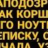 Жена нашла фото бывшей в кармане у мужа а открыв его ноутбук побледнела