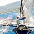 Tornado Catamaran 25 KNOTS Of Wind Kite Runs