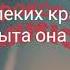 Алексей Чумаков Арабская ночь Алладин 2019