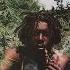 Peter Tosh Legalize It Audio