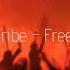 PSYTRANCE Hilight Tribe Free Tibet Vini Vinci Remix 8D AUDIO