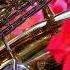 Romantic Saxophone Golden Saxophone 89 АК SAX MUSIC