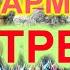 РАЗБОРЫ ПОД ГАРМОНЬ Я ВСТРЕТИЛ РОЗУ