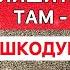 Пророцтво Лаврентія Чернігівського Іони Одеського про місця в яких люди залишаться то пошкодують