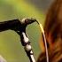 Paul Heaton And Jacqui Abbott Perform On The BBC Introducing Stage At Glastonbury Festival 2014