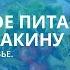 Питание по Неумывакину Как с помощью правильного питания сохранить здоровье Профессор Неумывакин