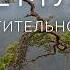 Земля Растительность Серия 3 5 Документальный фильм Би би си