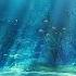 Relaxing Fantasy Music Ocean Of Mermaids Beautiful Mystical Harp 245