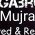 Tera Jy Gabru Way Mujra Slow And Reverb