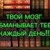 ТВОЙ МОЗГ ПАРИТ ТЕБЯ КАЖДЫЙ ДЕНЬ факты книги личностныйрост саморазвитие самопознание