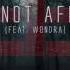 I M Not Afraid Feat Wondra Tommee Profitt