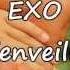 EXO Ta Bienveillance Avec Paroles