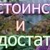 Стоит ли покупать шпица Достоинства и недостатки породы шпиц