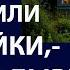 Истории из жизни Вы меня облапошили Аудио рассказы жизненные истории