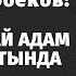 Бүкіл Торғай адам сүйегінің астында қалды