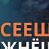 Что посеешь то и пожнешь Кто может помешать Тебе иметь благодарное сердце Жатва Николай Усач