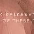 Fritz Kalkbrenner One Of These Days Franz Alice Stern Remix Official Audio