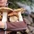 THE WOMAN LIVES ALONE IN THE MOUNTAINS COOKING FOREST MUSHROOMS