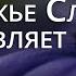 Божье Слово оживляет меня Псалом 118 Библия