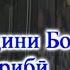 Искандар ТВ Мусикии муосир Хайриддини Бозор Гариби