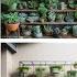 Awesome Wall Plants Models Collection For Home Decor Home