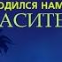 Родился нам Спаситель Рождество Христово