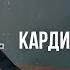 Кардио тренировка для сжигания жира Упражнения для похудения в домашних условиях Фитнес дома