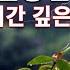 소나기 천둥번개 시원한 빗소리 8시간 10분 후 검은화면 깊은 밤 불면증 치료 이명증 치료 ASMR 명상 힐링 Rain Shower Thunder Lightning