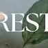 REST Soaking Worship Instrumental Prayer And Devotional