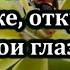 81 Боже открой мои глаза Караоке с голосом Христианские песни Гимны надежды