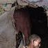 Morning Routine Turkana Tribe Desert Village Lifstyle Goat Herders