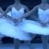 Swan Lake Danse Des Petits Cygnes