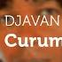 Djavan Curumim Áudio Oficial