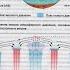 Распределение поясов атмосферного давления Восходящие и низходящие потоки воздуха