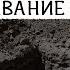 Есть ли награда за выкапывания могилы