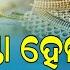 Odisha Gold Price Today 20th October 2024 Bhubaneswar 22 And 24 Carat Gold Price Down