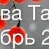 ДЕВА Таро Ноябрь 2024