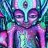 Psychedelic Psytrance GOA MUSHROOMS MIX