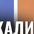 ПУТІН ВІДРЕАГУВАВ на дзвінок Шольца Україна шокована