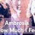 Ambrosia 70s Lovesongs Radio Vinyl Song