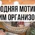 НОВОГОДНЯЯ МОТИВАЦИЯ НА УБОРКУ И ОРГАНИЗАЦИЮ ПРЯНИЧНЫЙ ДОМИК С ДЕТКАМИ ОБЪЕМНЫЕ СНЕЖИНКИ